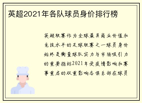 英超2021年各队球员身价排行榜
